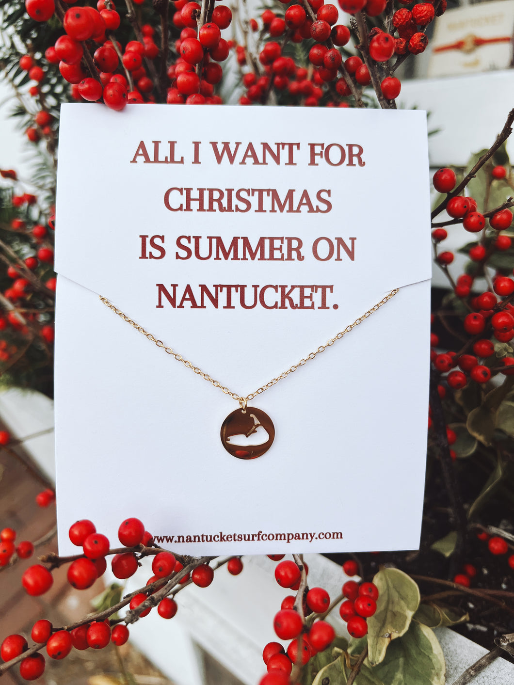 Gold Stainless Circle Nantucket Necklace