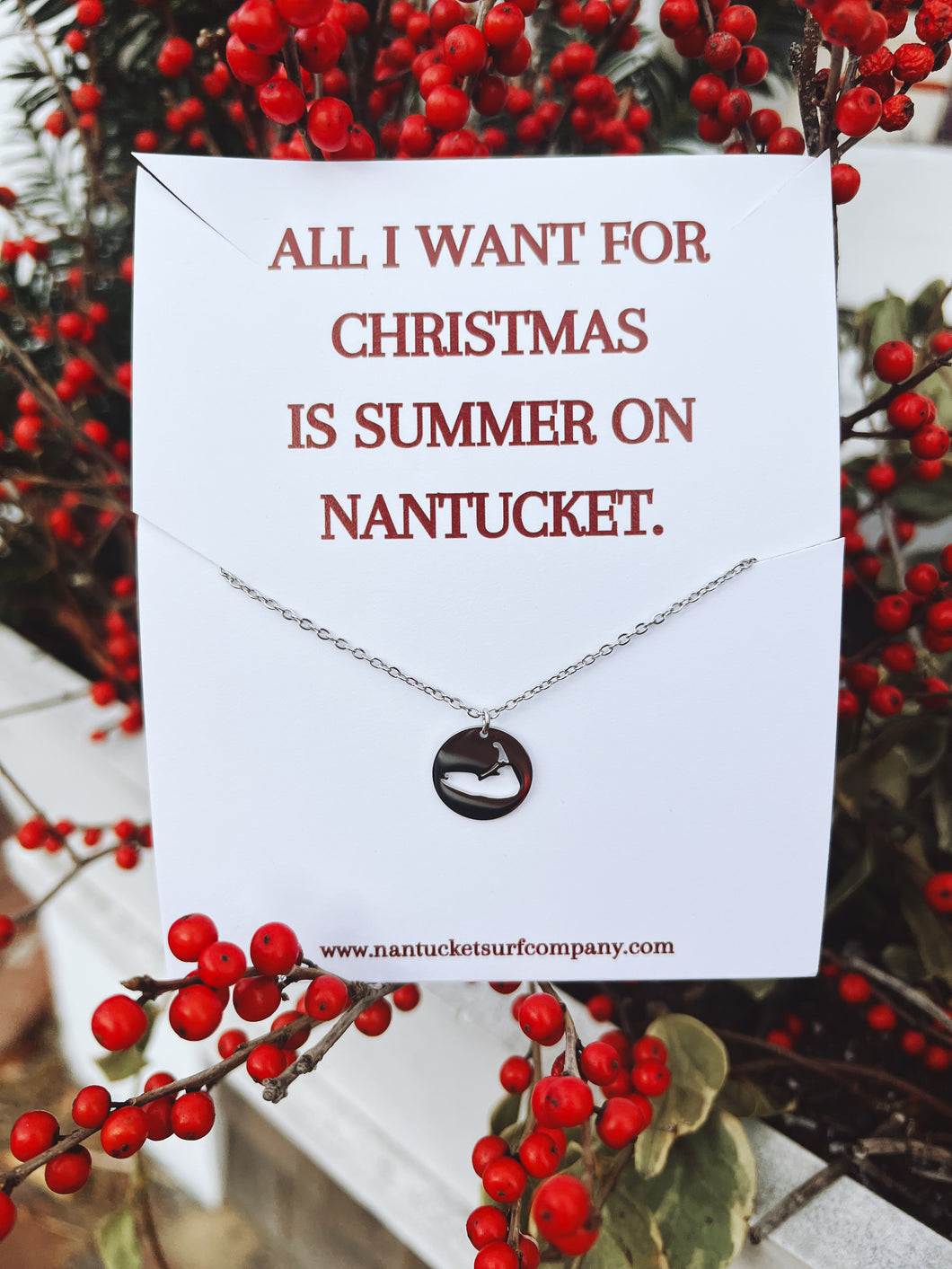 Silver Stainless Circle Nantucket Necklace