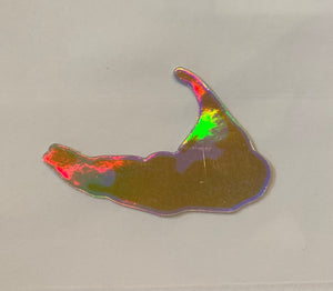 Metallic Nantucket Sticker